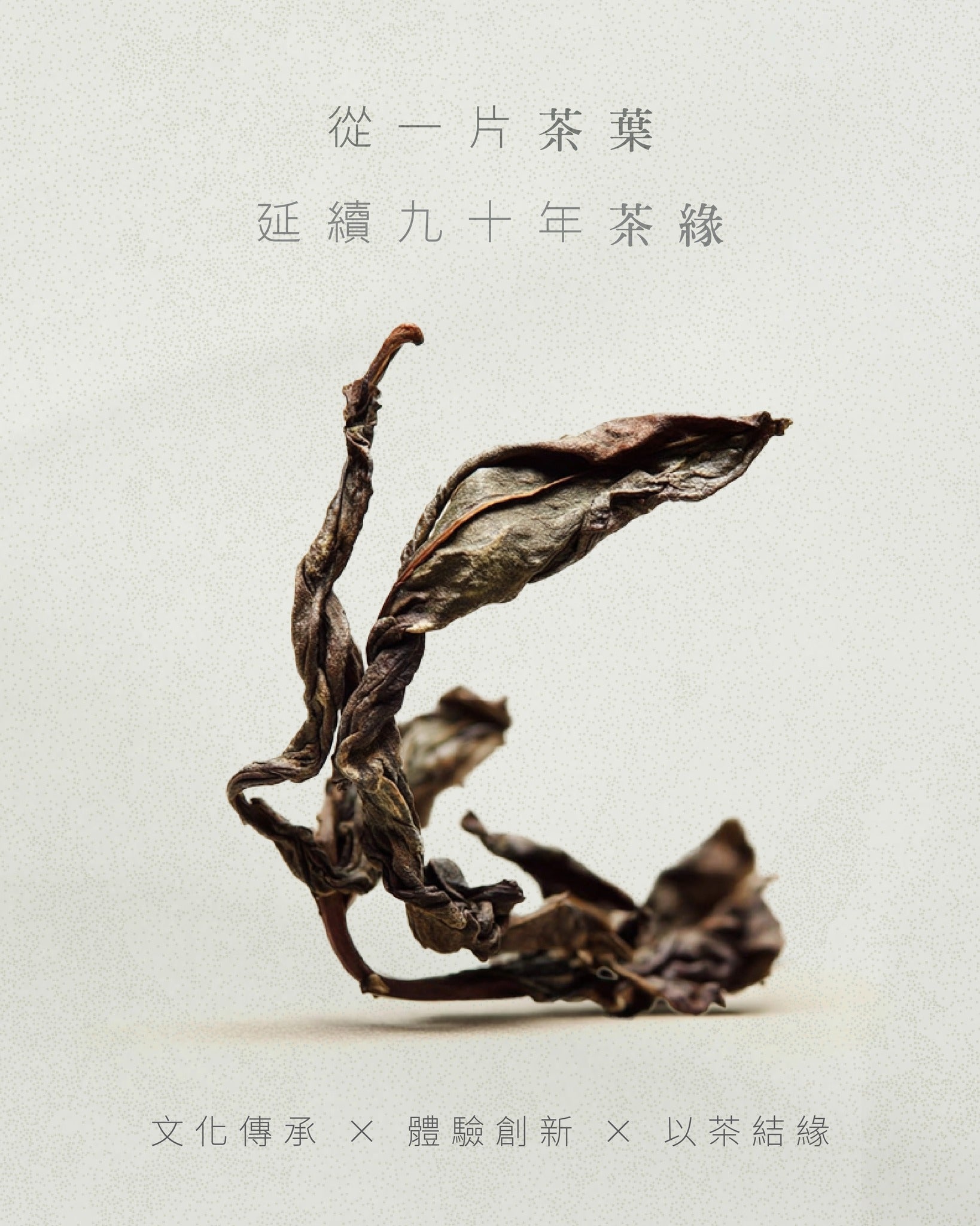 從一片茶葉，延續九十年茶緣 - 文化傳承 x 體驗創新 x 以茶結緣