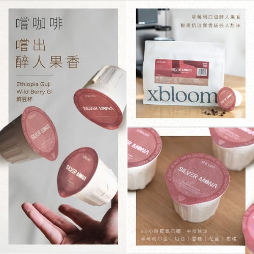 xPod - Ethiopia Guji Wild Berry G1 鮮豆杯