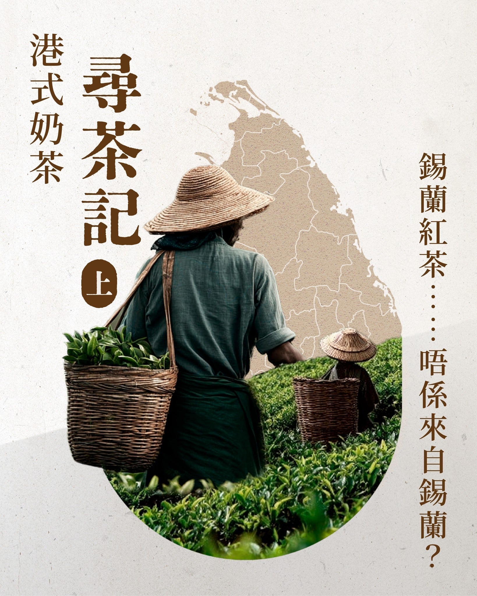 【港式奶茶尋茶記（上）—「錫蘭紅茶」故鄉篇】