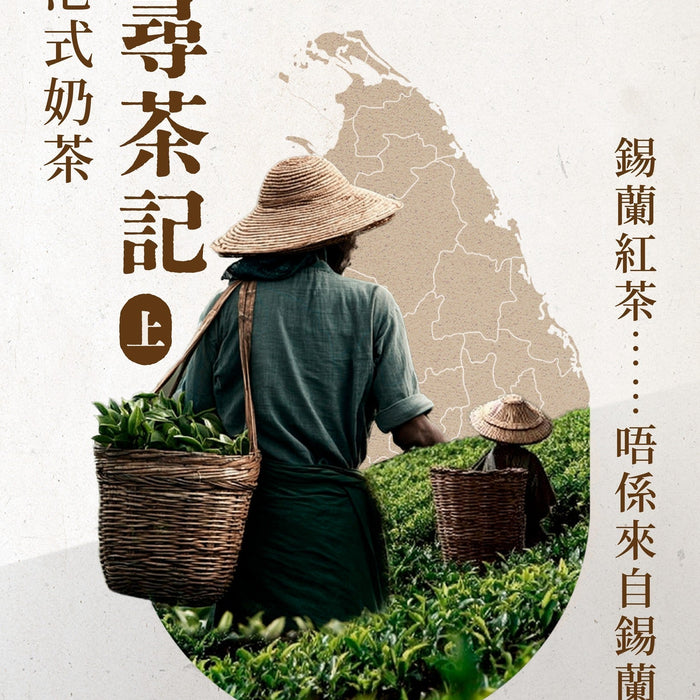 【港式奶茶尋茶記（上）—「錫蘭紅茶」故鄉篇】